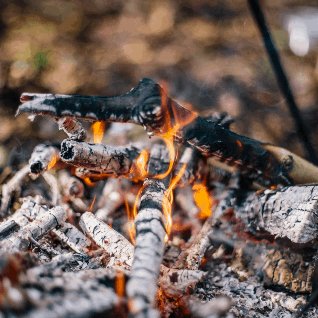 online cooking over fire course